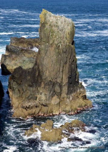 Butt of Lewis, île de Lewis, Hébrides extérieures, Écosse, Royaume-Uni