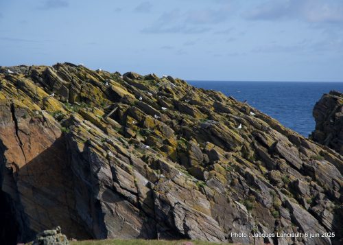 Butt of Lewis, île de Lewis, Hébrides extérieures, Écosse, Royaume-Uni
