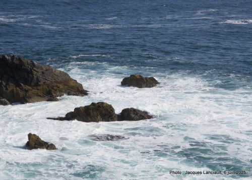 Butt of Lewis, île de Lewis, Hébrides extérieures, Écosse, Royaume-Uni