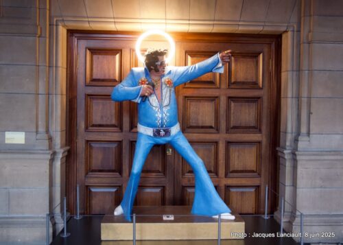 Return to Sender, Kelvingrove Art Gallery and Museum, Glasgow, Écosse, Royaume-Uni