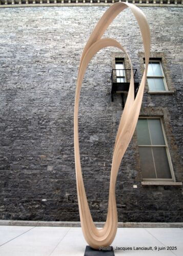 Magnus Modus, Galerie nationale d’Irlande, Dublin, République d’Irlande