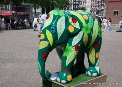Elephant Parade, place de la Bourse, Amsterdam, Pays-Bas