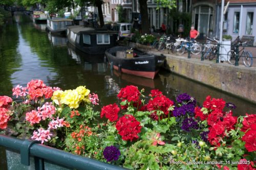 Bloemgracht. Amsterdam, Pays-Bas