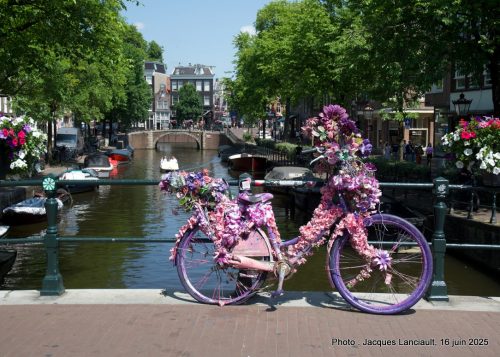Bicyclette, Amsterdam, Pays-Bas