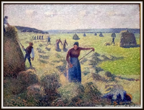 Fenaison à Éragny, Musée Van Gogh, Amsterdam, Pays-Bas