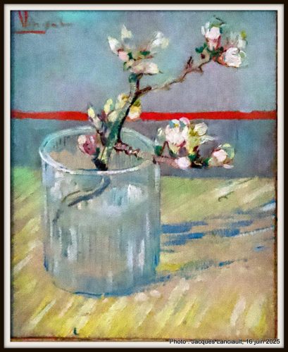 Branche d’amandier en fleurs dans un verre, Musée Van Gogh, Amsterdam, Pays-Bas