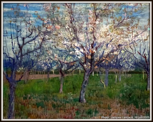 Le pêcher rose, Musée Van Gogh, Amsterdam, Pays-Bas