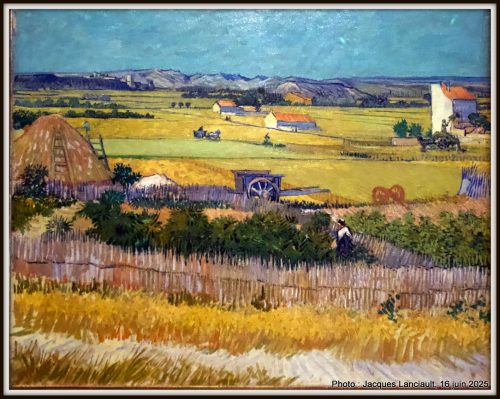 La récolte, Musée Van Gogh, Amsterdam, Pays-Bas