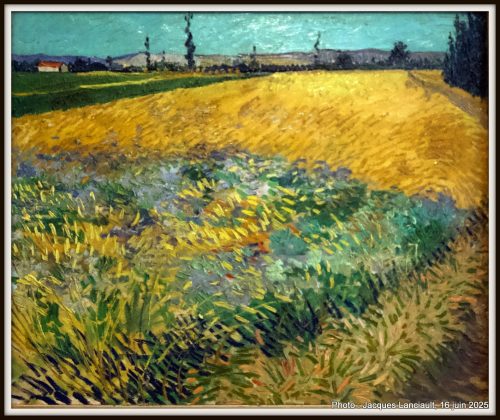 Champ de blé, Musée Van Gogh, Amsterdam, Pays-Bas