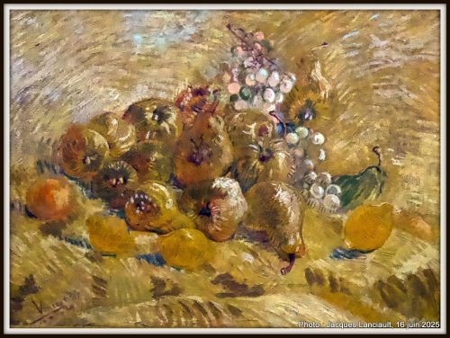 Coings, citrons, poires et raisins,, Musée Van Gogh, Amsterdam, Pays-Bas
