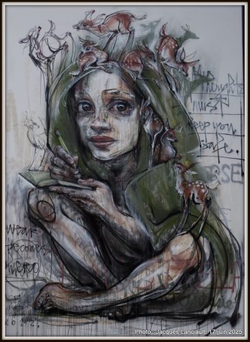 Faible, il devient héros, Straat Art Museum Amsterdam, Amsterdam, Pays-Bas