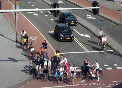Morgan & Mees Amsterdam, Pays-Bas